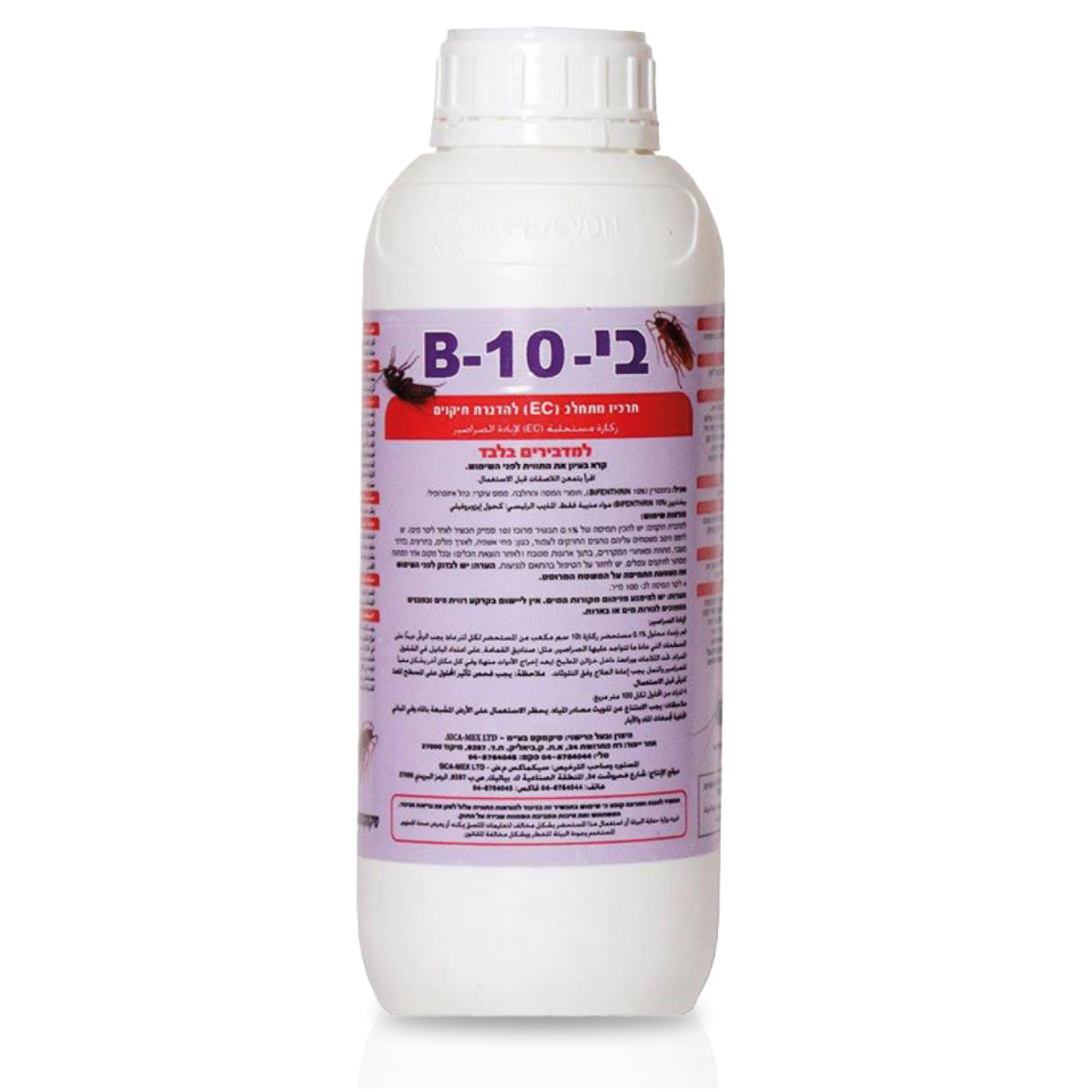 B10